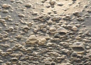 Prozessmessgeräte für Stickstoff, Phosphor und Kohlenstoff in Abwasserbehandlungsanlagen