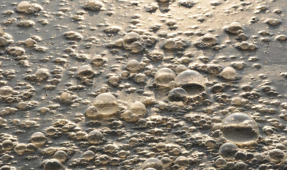 Prozessmessgeräte für Stickstoff, Phosphor und Kohlenstoff in Abwasserbehandlungsanlagen