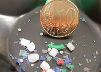 Mikroplastikpartikel leichter identifizieren