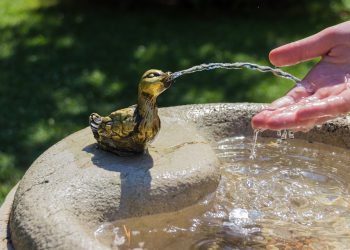 W&A WASSER UND ABWASSER TECHNIK - Fachwelt Verlag
