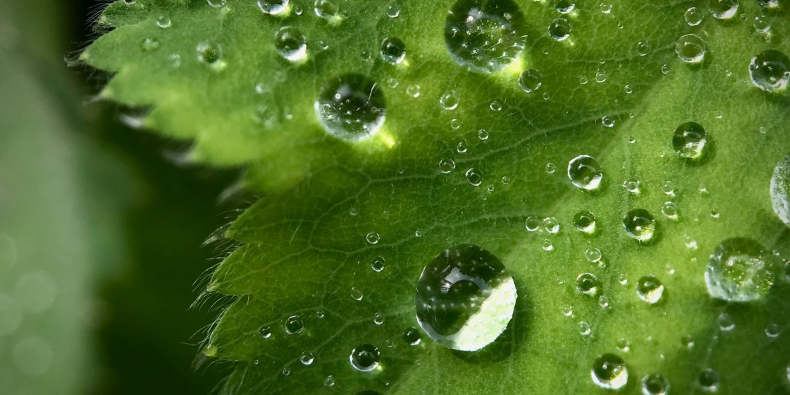 Wasseraufbereitung für die Erzeugung von Grünem Wasserstoff