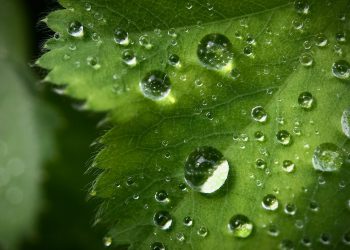Wasseraufbereitung für die Erzeugung von Grünem Wasserstoff