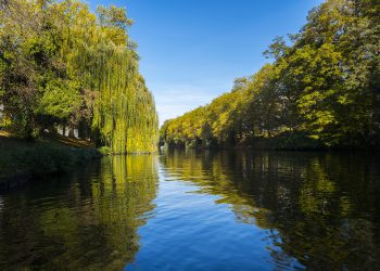 BUND-Gewässerreport: Alarmierender Zustand von Deutschlands Flüssen und Seen
