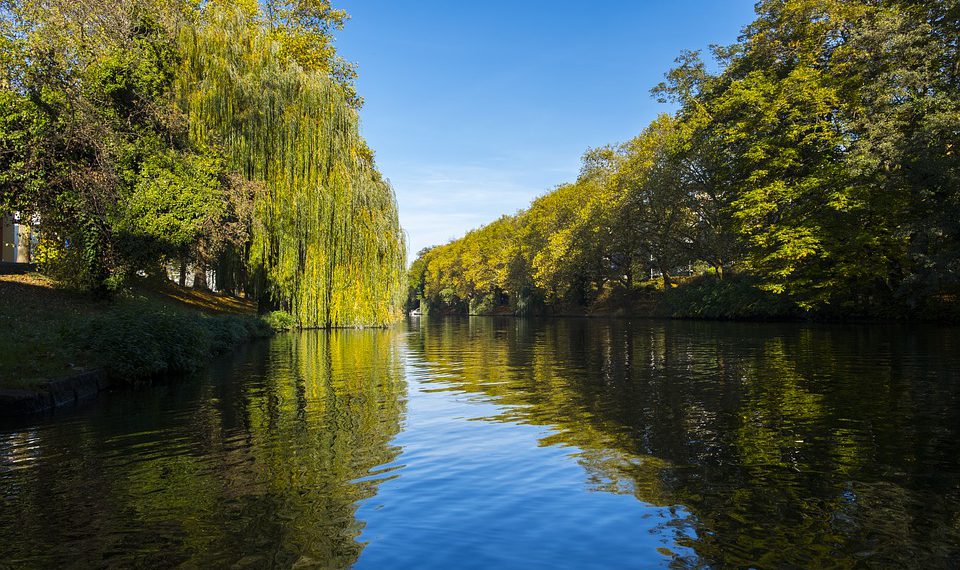 BUND-Gewässerreport: Alarmierender Zustand von Deutschlands Flüssen und Seen