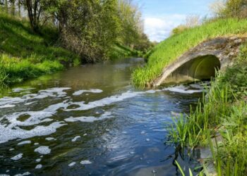 Verantwortungsvolle Aufgabe für Wasserexperten