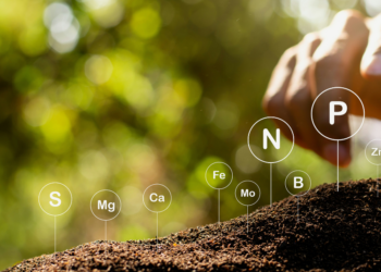 Verbände fordern einheitliche Kläranlagenüberwachung