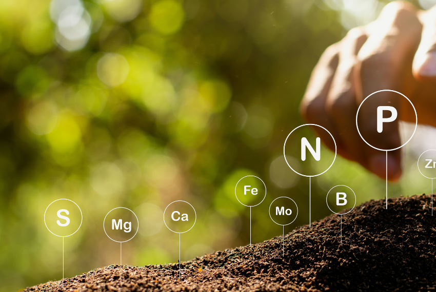 Verbände fordern einheitliche Kläranlagenüberwachung